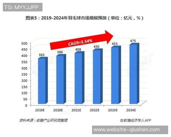 北京羽毛球队力量表现的数据分析与训练策略探讨
